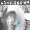 쥬만지동물의료센터 이미지