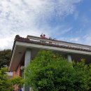 또,봄이네 이미지