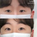 은은한 선 이미지