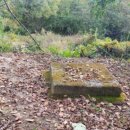 성불사지 석불입상 이미지