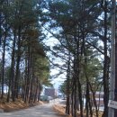 모서초등학교 Daum카페