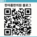 더미디어그룹