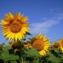 좌동순환로 34 이미지