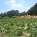 대간물농장 이미지