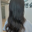 헤어앤숲