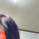 자연모 - 통영시 통영해안로 494 | [내돈내산/리뷰] 광고❌ 3주 물빠짐 사진⭕ 로레알 잉크퍼플 염색약 염색모, 자연모 솔직후기