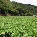 (주)그린헬스케어 이미지