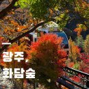 윗숲 | 경기도 광주 화담숲 후기 | 취소표 예매, 모노레일 지각, 주차장 꿀팁