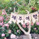 제주블랑 이미지