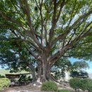 아름다운 모항 펜션 이미지