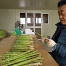 일호농장 이미지