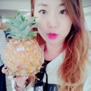 하와이안과일트럭