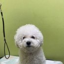 올리스 방이점 이미지