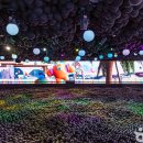 HYPER GATE | 경주도 이제 우주 테마파크?! 코스믹리조트 2025년 최신 정보 총정리