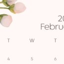 콩테이너 이미지