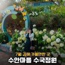 수안 | [7월 김해 가볼만한 곳] 수안마을 수국축제 방문 후기