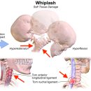 양지한의원 이미지