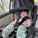 원픽스 | 다이치 원픽스 i-Size 360 카시트 내돈내산 후기 | 생후 3개월부터 26개월까지 실사용 리뷰