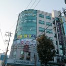 크로커다일레이디순천
