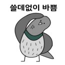 이마트트레이더스 수원점 이미지