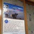 신안갯벌세발낙지 이미지