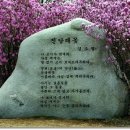 (공유) 청라산악회 36차 정기산행공지 4월23일(토)대구(비슬산.진달래꽃산행) 이미지