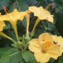 홍제천변길 이미지