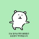 더엘컨설팅