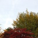 구로리공원 이미지