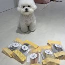 댕댕점빵 | 김천강아지수제간식 댕댕점빵 주문후기