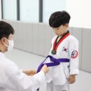 세종태권도 이미지