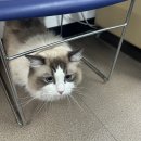 유림-1163 | 10월편