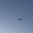 추억만 남개 이미지