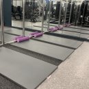 디벨롭짐 이미지