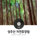 성주산자연휴양림 이미지