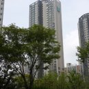 서울DMC공인중개사사무소 이미지