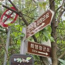 경안군 및 임창군묘 이미지