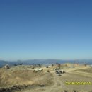 불루모아 이미지