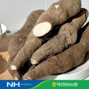 비티엠