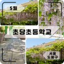 서울초당초등학교 이미지