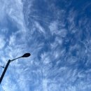 카페옥이네 북스테이 이미지