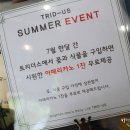트리더스