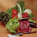 좋은야채 이미지