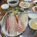 일산횟집 | [일산] 속초종합어시장 | 주엽역횟집 일산가성비횟집 후기 내돈내산