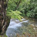 송광사식당 이미지