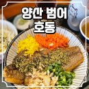 파리바게트양산범어부산대 | [양산 범어] 양산부산대병원 근처 덮밥 맛집 추천 호동