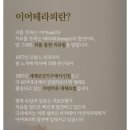 메리움뷰티