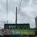 동부ENG | 백억모싯잎송편떡집) 쫀득쫀득한 인생송편 맛집 찾았다 본점 방문 후기