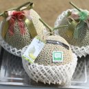 김희수농장 이미지