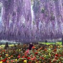 270-2529 | 📍가본 사람만 아는 춘천 당일치기 코스 추천✨｜춘천국립박물관·베고니아·구봉산 야경·로컬 닭갈비...